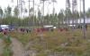 Finland rejects majority visa applications for wild-berry pickers
