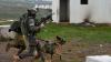 IDF targets Hezbollah terrorist after troops face fire in southern Lebanon, military dog killed