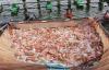Vietnamese seafood industry seeks urgent government intervention over Brazil tilapia restrictions