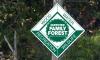 Maryland forest landowners can become certified tree farmers
