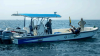 Environment Agency – Abu Dhabi completes oyster bed mapping survey across emirate’s marine waters
