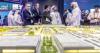 UAE among world's top 10 recipients of FDI in 2025, UN report says