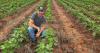 Timeless advice meets innovation on Oklahoma farm
