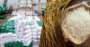 Cambodia Exports over 630,000 Tonnes of Rice Worth More Than $367M in H1 2026