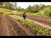 Consumers urged to buy naturally grown produce