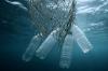 Recycling that rescues dolphins