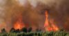 Foreign Office updates France travel advice as country hit by wildfires ahead of summer