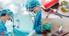 Cultural sensitivity, communication key to strengthening India's medical tourism appeal: IIM experts