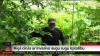 Invasive species are encamped in the Latvian capital