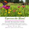 Ridgeland to unveil educational marker at Wildflower Field & Art Park