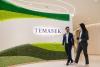 Temasek steps up climate investments, energy transition for portfolio companies