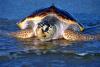 Virginia’s Atlantic coast should be protected, not turned into a sacrifice zone