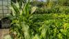 See the new Global Greens garden at Des Moines Public Schools