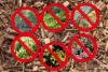 New Yorkers: Rip These 6 Dangerous Plants Out of Your Yard Now