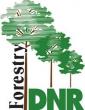 Indiana launches Teen and Young Professionals Tree Stewards Program to cultivate next generation of urban foresters