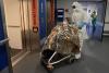The First European Ebola Case in Years Was Successfully Contained in France: What the U.S. Should Learn from That Response