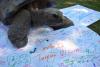 Reptile Gardens Celebrates Major 121st South Dakota Birthday