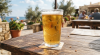 Cyprus generates over €2.3m from beer exports in 2025