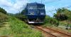 Japan has launched a summer sleeper train with fares from €52