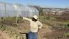 Urban farming helps Joburg’s poorest, but needs investment