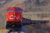 CN sets grain transport record in June