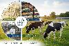 Unlocking the Hidden Energy Potential of Dairy Wastewater for a Sustainable Future