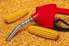NCGA leader urges investigation into Brazil’s trade practices
