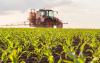 Wandile Sihlobo | For SA farmers, Zim is as big as BRICS, Middle East