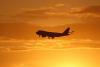 'Minus 22,400 Feet Per Minute': Flight Data Exposes 'Chaotic' Final Plunge of Missing Boeing Jet Off Karachi