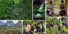 Southern Thai Ecolodge Wins Acclaim for ‘Regenerative Tourism’ in Asian Awards