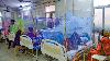 No medicine for dengue yet, Serum Institute’s new treatment is headed for global trials