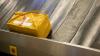 Hong Kong Customs opens snack cans in 'clothing' shipment, find 24 snakes and 8 lizards