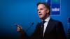 Expert sees internal, external cohesion as key to NATO's future