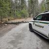 Disaster declaration approved to help North Idaho counties affected by March storm