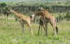 Ugandan farmers sue TotalEnergies’ oil pipeline project in UK court