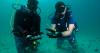 Abu Dhabi Environment Agency completes long-term survey to map oyster beds