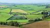 DAERA rolls out £40m SFIS to boost sustainable farming in NI