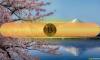 Japanese Firms Are Boosting BTC and XRP Holdings – SBI VC Trade Reveals Why
