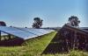 Germany’s BESS offtake volumes up 7% in H1, says Pexapark