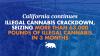 California continues illegal cannabis crackdown, seizing more than 63,000 pounds of illegal cannabis in three months