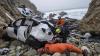 Charges dropped against California radiologist who drove Tesla carrying family off cliff