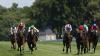 Inis Mor to be supplemented for Juddmonte Irish Oaks