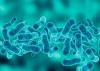 Legionnaires’ disease outbreak: 28 New Yorkers now sick as city expands public health response to Upper East Side crisis