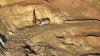 Australia’s Lindian Starts Mining Malawi’s Rare Earths