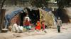 Delhi registers decline in poverty, unemployment rate in recent years: DSIF report