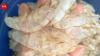 Scientists in Singapore have found a way to transform shrimp shell waste into 'carbon-negative' hydrogen fuel, turning biomass waste into valuable climate solutions