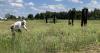 Vietnam memorial at VSV park coming together, completion expected next year