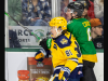 SPORT NOTES: London Knights preseason; Taylor Elgersma's CFL debut