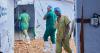 Health workers in DR Congo's Ebola outbreak go on strike over pay issues