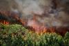 European Parliament bickers as Europe burns